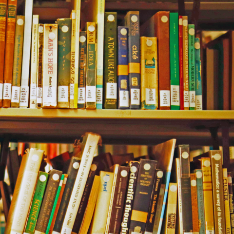 Boralani’s New Public Library Proposal